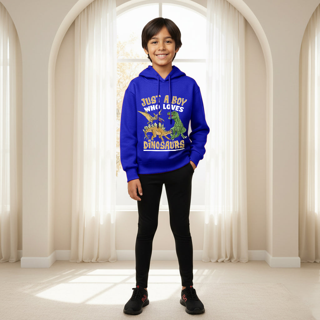 Boys Royal Blue Dinosaur Graphics Hoodies Sweatshirt Sweatshirts & Hoodies Royal Blue 3-4 Y