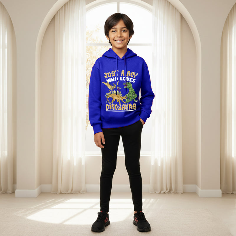 Boys Royal Blue Dinosaur Graphics Hoodies Sweatshirt Sweatshirts & Hoodies Royal Blue 3-4 Y