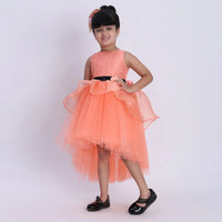 Girls Orange Flower Applique Sleeveless Fit & Flare Dress With Tulle High-Low Hemline Party Dresses