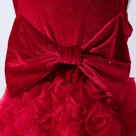 Girls Red Rose Applique Sleeveless Fit & Flare Dress Casual Dresses