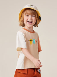 Boys Drop Shoulder Printed Casual T-shirt Tshirts   