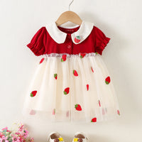 Girls Red Strawberry Embroidered Fit & Flare Dress Casual Dresses Red 1-2 Y