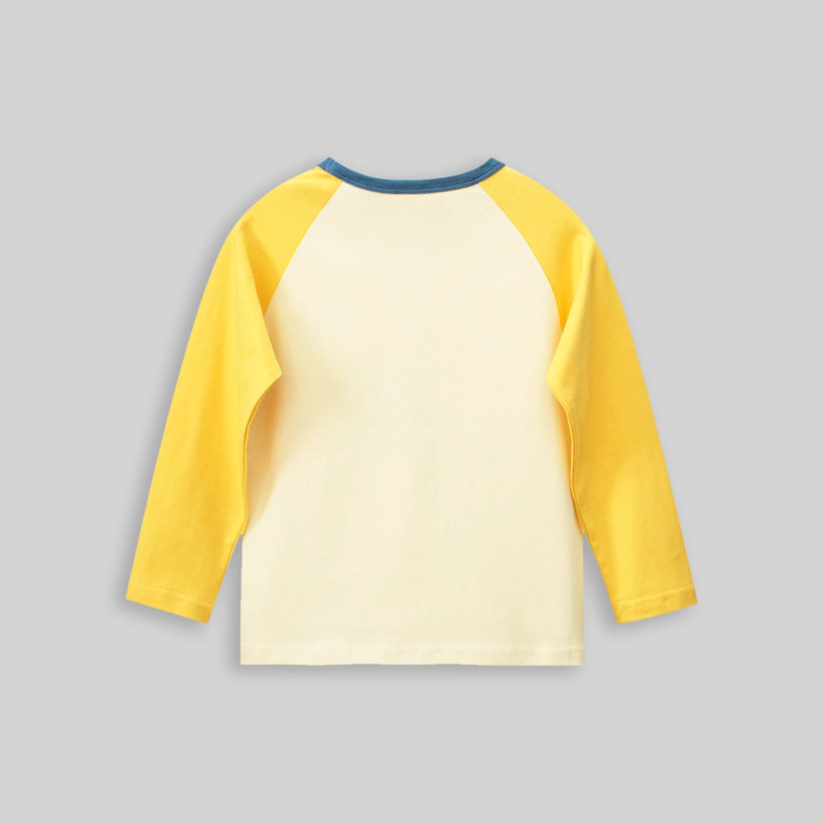 Boys Cream Dinosaur Printed Long Sleeves T-Shirt Tshirts