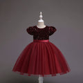 Girls Maroon Puff Sleeve Sequins Embellished Fit & Flare Party Wear Dress Party Dresses Maroon 2-3 Y