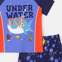 Boys Blue Graphics T-Shirt With Shorts Swimwear Sets Beachwear