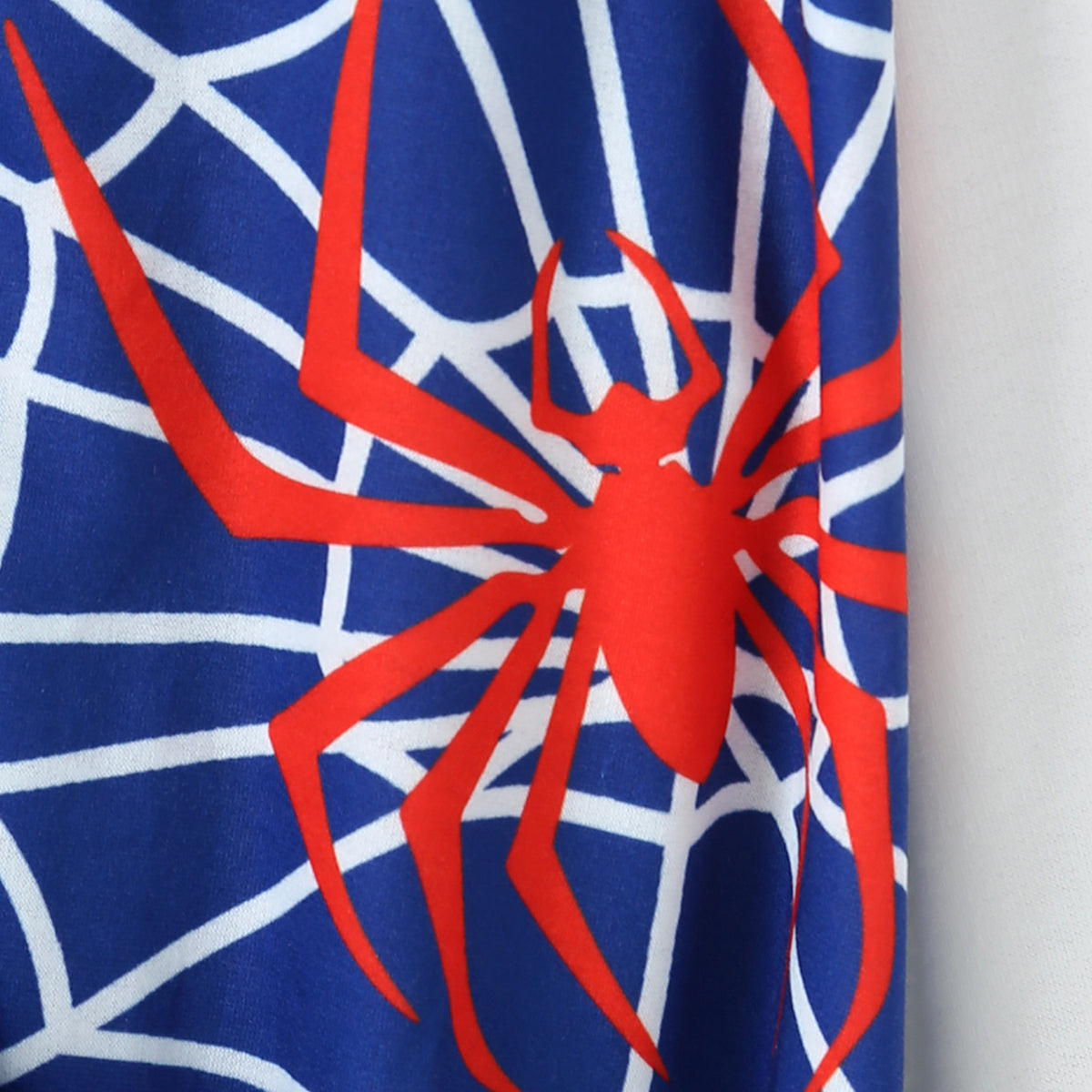 Boys Blue Spider Printed Varsity Jacket Coats & Jackets