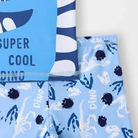 Boys Sky Blue Dinosaur Print T-Shirt With Shorts Swimwear Sets Sets