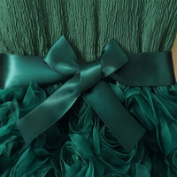 Girls Green Rose Applique Long Sleeve Fit & Flare Dress Casual Dresses