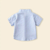 Boys Light Blue Stripes Shirt With Mandarin Collar Shirts