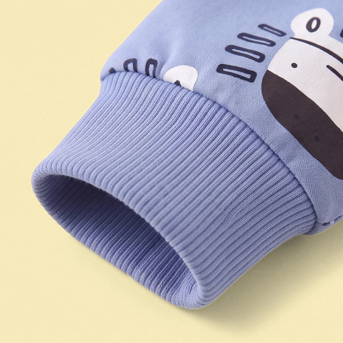 Boys Light Blue Graphic Round Neck Sweatshirt Sweatshirts & Hoodies