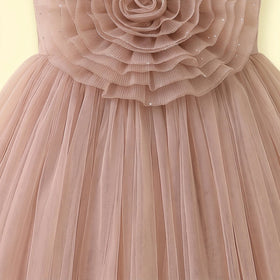 Girls Light Brown Floral Applique Sleeveless Party Gown Party Dresses