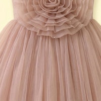 Girls Light Brown Floral Applique Sleeveless Party Gown Party Dresses