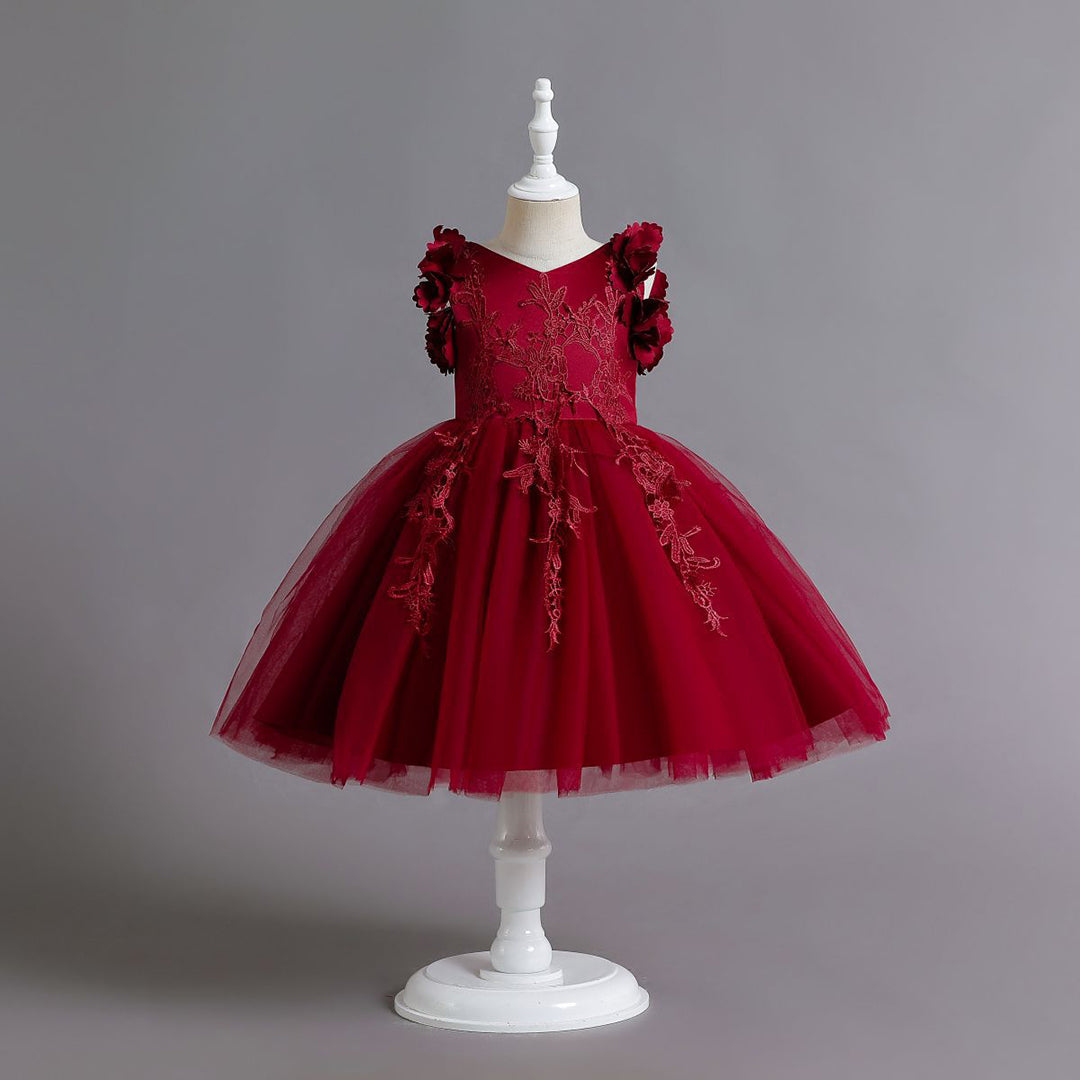 Girls Embroidered Fit & Flare Party Dress Party Dresses