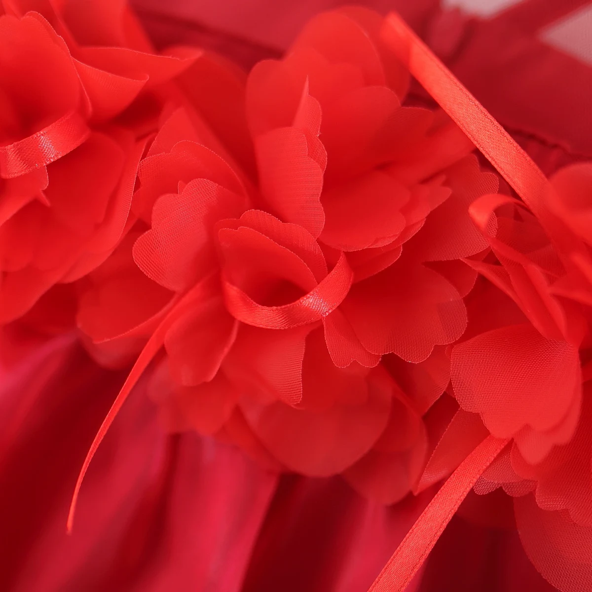 Girls Red Floral Applique Sleeveless Balloon Dress Party Dresses