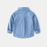 Boys Light Blue Long Sleeves Button-down Shirts Shirts