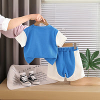 Boys Blue Horse Cartoon Print T-Shirt & Shorts Co-ord Sets Sets
