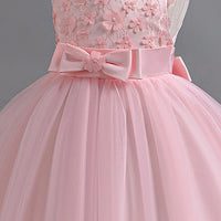 Girls Light Pink Floral Applique Sleeveless Tutu Party Wear Dress Party Dresses