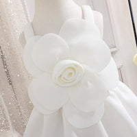 Girls White Floral Applique Fit & Flare Party Dresses Party Dresses