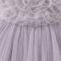 Girls Grey Floral Applique Fit & Flare Party Dress Party Dresses