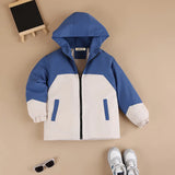 Boys Blue Solid Hooded Zipper Jacket