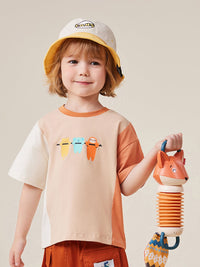 Boys Drop Shoulder Printed Casual T-shirt Tshirts   