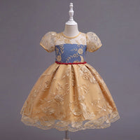 Girls Yellow Floral Embroidered Fit & Flare Party Wear Dress Party Dresses Yellow 3-4 Y