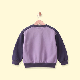 Boys Purple Colourblocked Long Sleeve Sweatshirt Sweatshirts & Hoodies