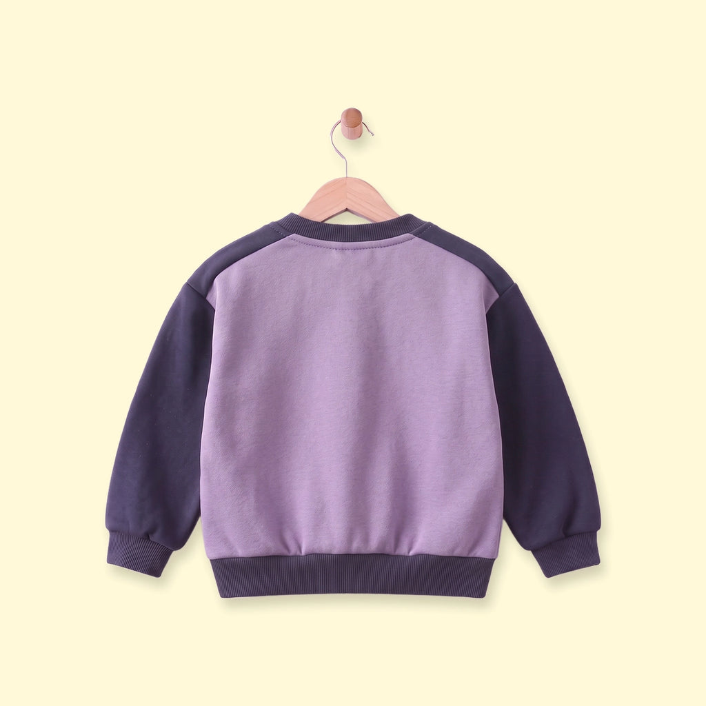 Boys Purple Colourblocked Long Sleeve Sweatshirt Sweatshirts & Hoodies