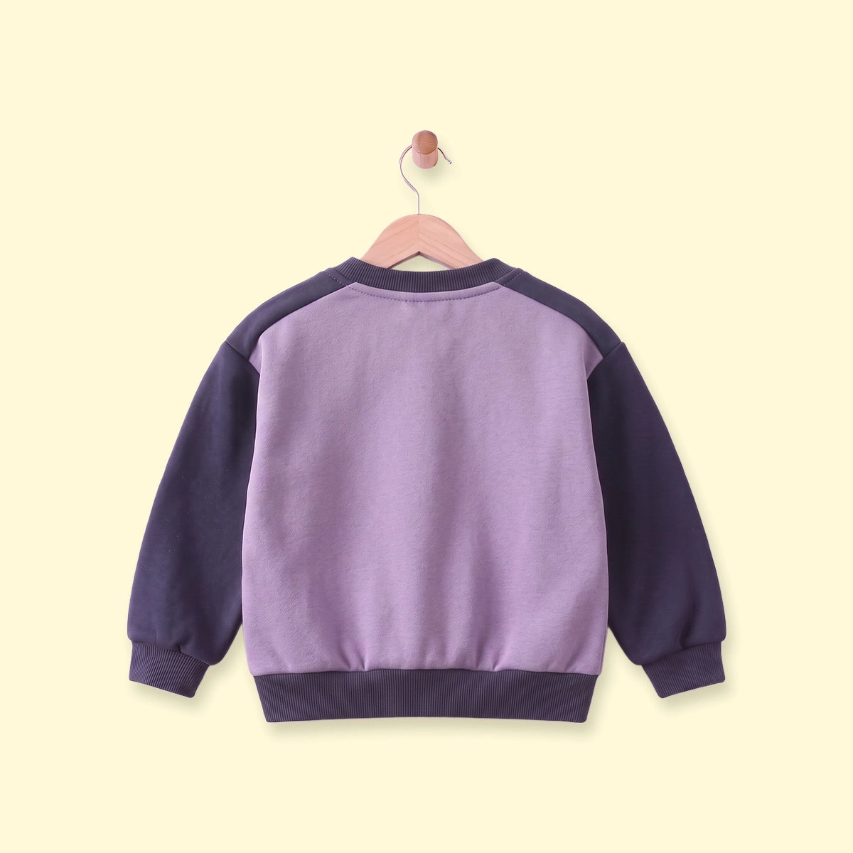 Boys Purple Colourblocked Long Sleeve Sweatshirt Sweatshirts & Hoodies