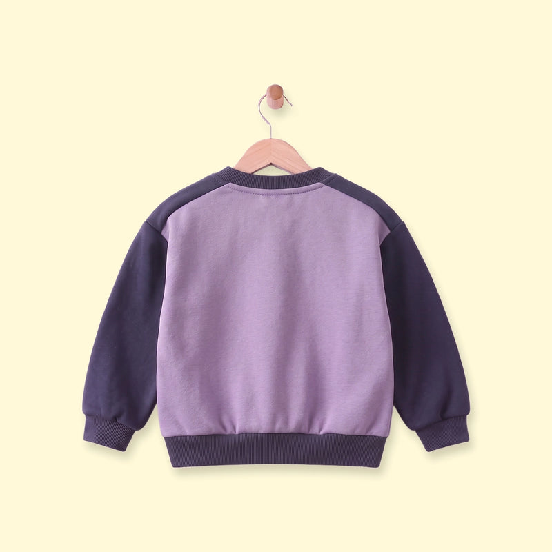 Boys Purple Colourblocked Long Sleeve Sweatshirt Sweatshirts & Hoodies