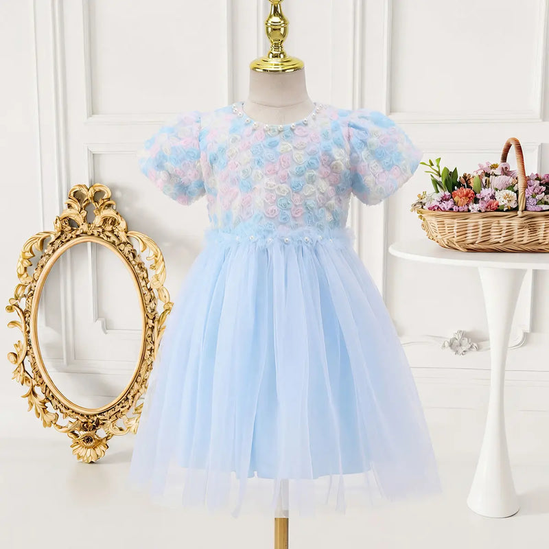 Girls Sky Blue Floral Tulle Overlay Fit & Flare Dress With Puff Sleeves Casual Dresses Sky Blue 3-4 Y