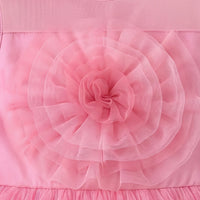 Girls pink sleeveless party gown with floral applique and tulle