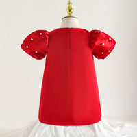 Girls Red Pearl Embellished A-line Party Dress With 3D Flower applique Party Dresses