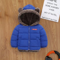 Boys Royal Blue Zip-up Puffer Jacket With Bear Ear On Hood Coats & Jackets Royal Blue 1-2 Y