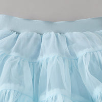 Girls Flower Applique Top With Sky Blue Tiered Tulle Skirts Set Sets