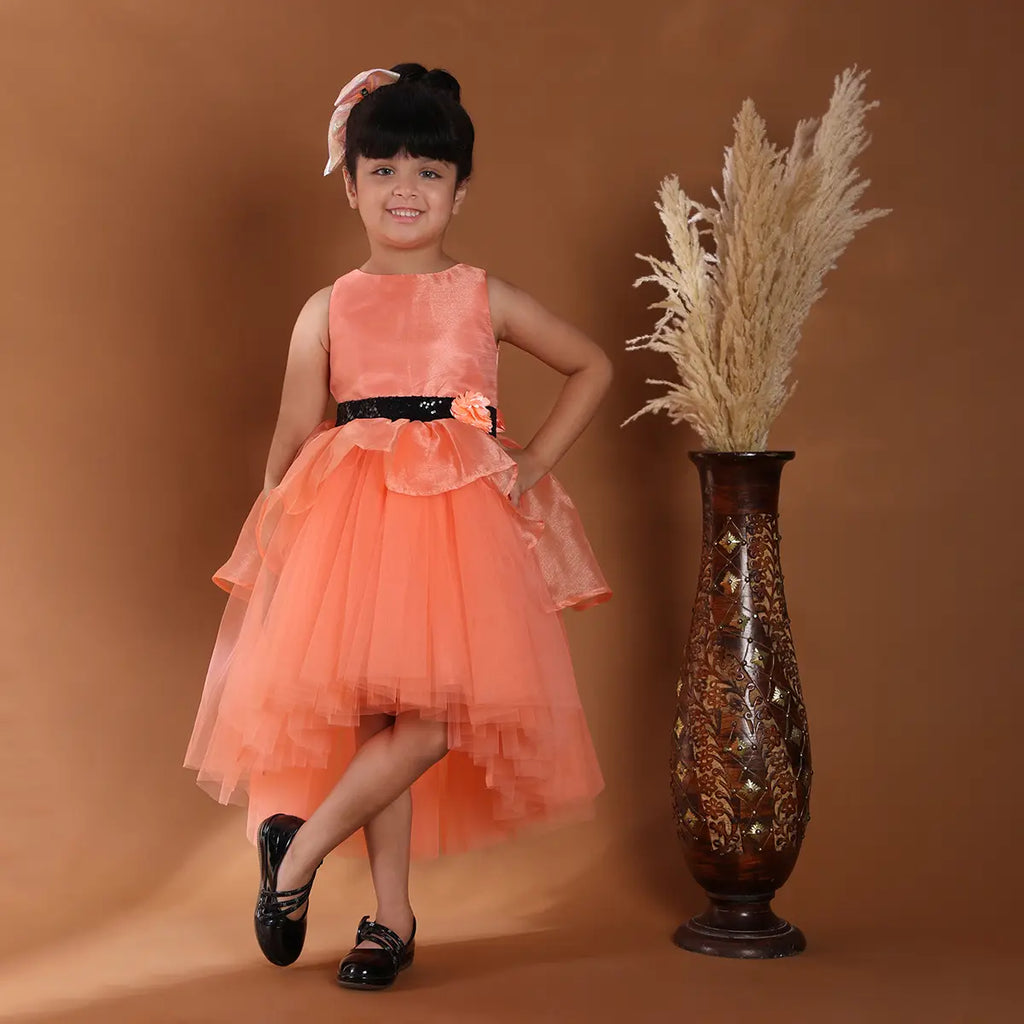 Girls Orange Flower Applique Sleeveless Fit & Flare Dress With Tulle High-Low Hemline Party Dresses Orange 1-2 Y