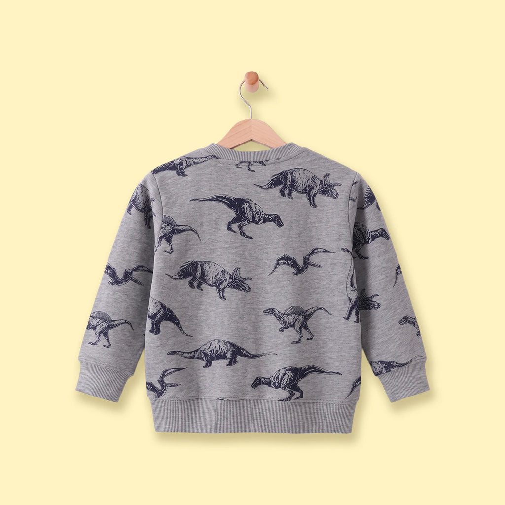 Boys Grey Dinosaur Print Round Neck Sweatshirt Sweatshirts & Hoodies