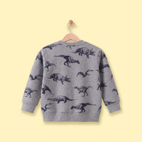 Boys Grey Dinosaur Print Round Neck Sweatshirt Sweatshirts & Hoodies