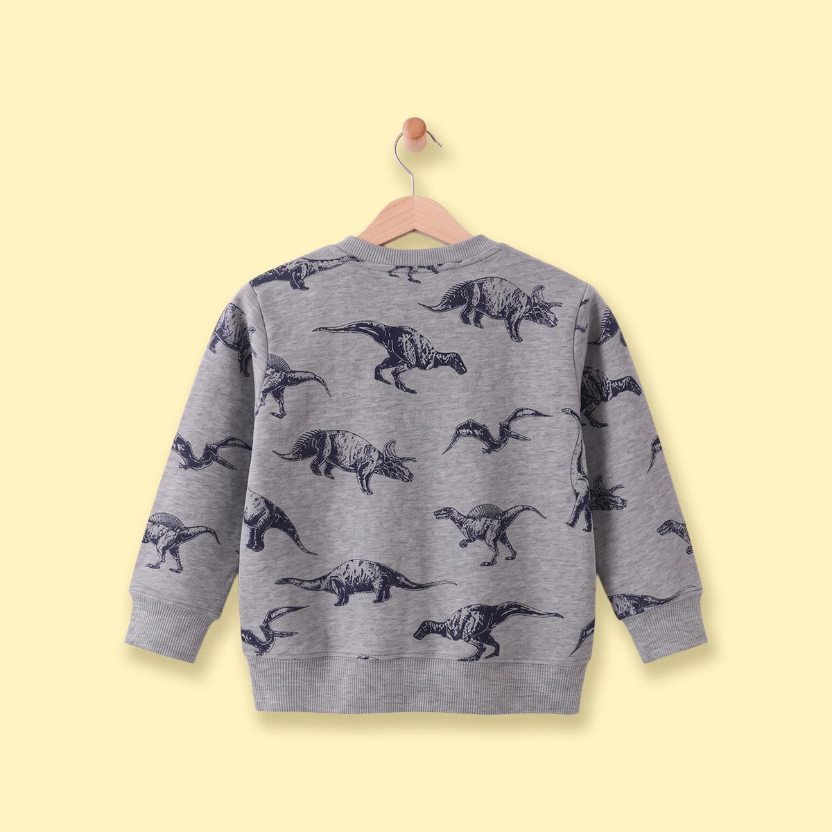 Boys Grey Dinosaur Print Round Neck Sweatshirt Sweatshirts & Hoodies