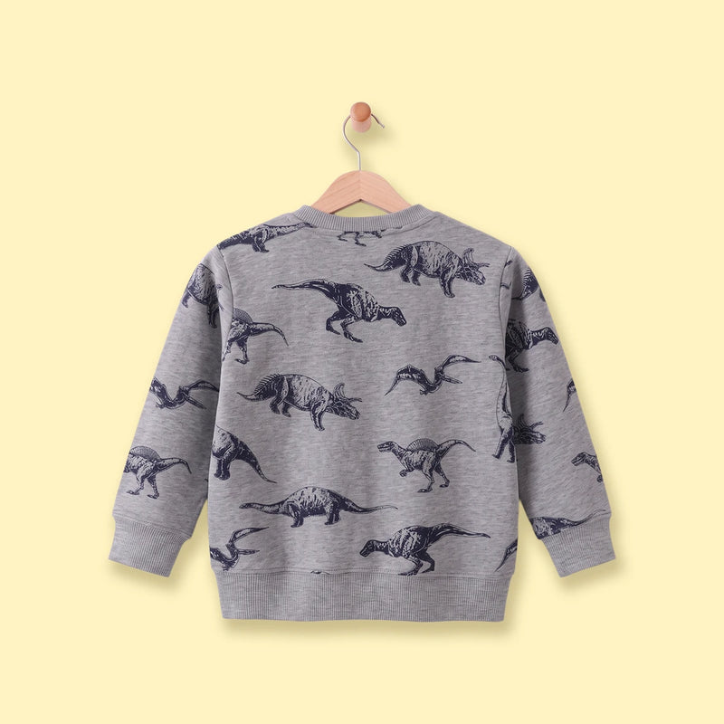 Boys Grey Dinosaur Print Round Neck Sweatshirt Sweatshirts & Hoodies