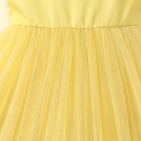 Girls Yellow Floral Applique Sleeveless Party Gown Party Dresses