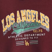 Boys Maroon Typographic Hooded Sweatshirt & Pants Sets Sets