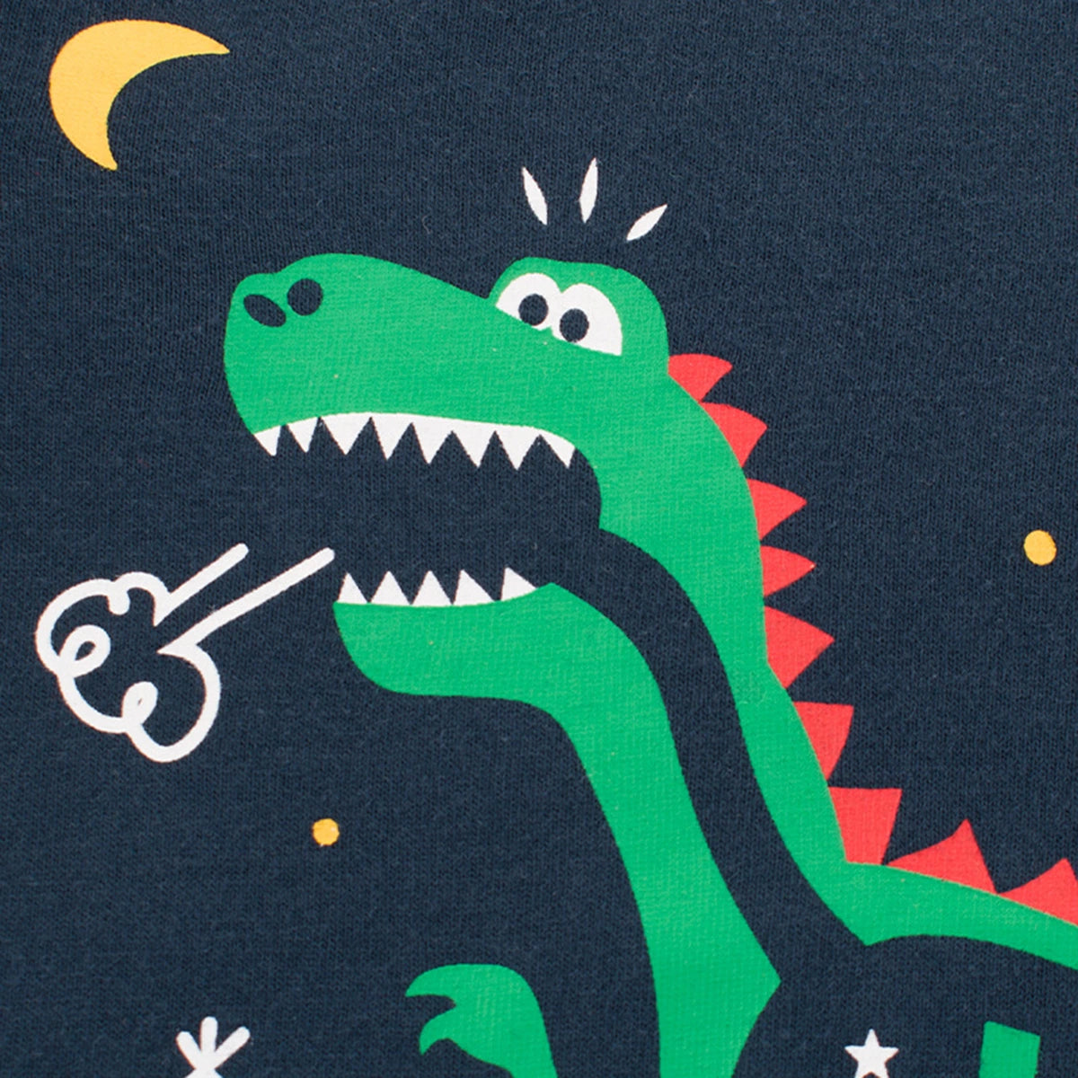 Boys Blue Dinosaur Printed Long Sleeves T-Shirt Tshirts
