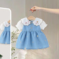 Girls Light Blue Embroidered Fit & Flare Dress Casual Dresses Light Blue 1-2 Y