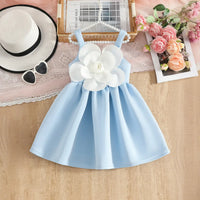 Girls Sky Blue Flower Applique Fit & Flare Party Wear Dress Party Dresses Sky Blue 2-3 Y