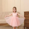 Girls Pink Beaded Neck Sleeveless Fit & Flare Party Wear Dress Party Dresses Pink 2-3 Y