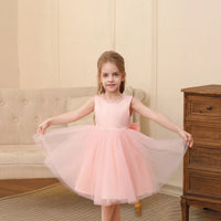 Girls Pink Beaded Neck Sleeveless Fit & Flare Party Wear Dress Party Dresses Pink 2-3 Y