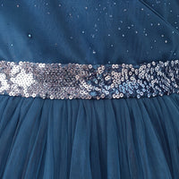 Girls Teal Blue 3D Floral Detail Sleeveless Party Gown Party Dresses