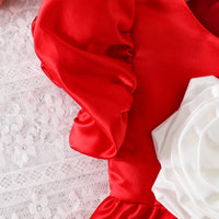 Girls Red 3D Flower Applique Fit & Flare Party Wear Dress Party Dresses