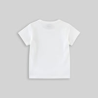 Boys White Dinosaur Print Tshirt Tshirts